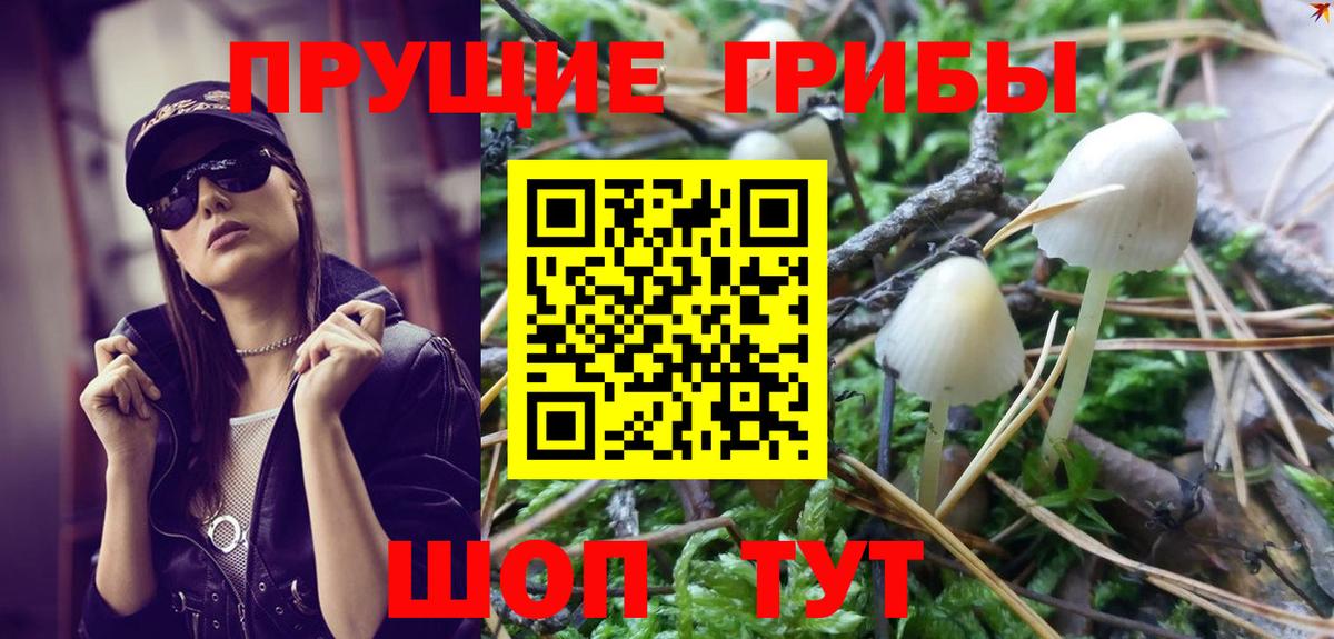 Псилоцибиновые грибы Magic Shrooms  Галлюциногенные грибы мицелий  Вход с VPN  Фролово 